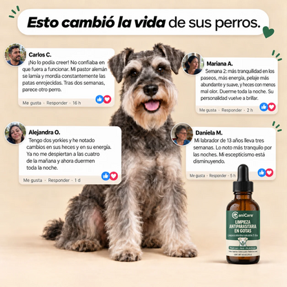 CaniCare® | Gotas para el bienestar intestinal canino · 60 ml