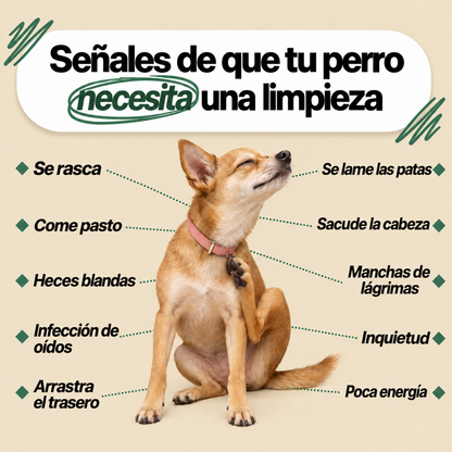 CaniCare® | Gotas para el bienestar intestinal canino · 60 ml